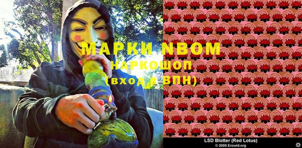 прущая мука Арсеньев