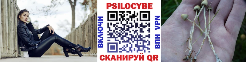 продажа наркотиков  Струнино  Галлюциногенные грибы GOLDEN TEACHER 