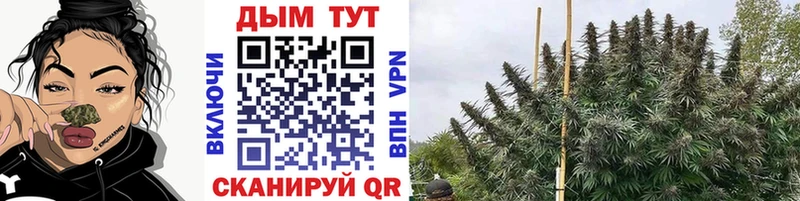 Бошки марихуана план  закладка  гидра как войти  Струнино 
